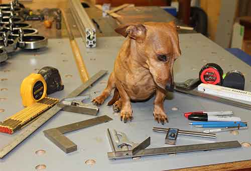 Metric and SAE measuring tools on shop table with small dog